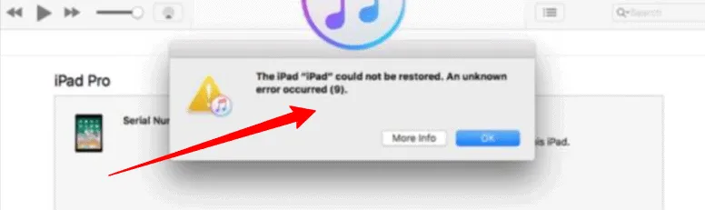 Problème erreur 09 ipad