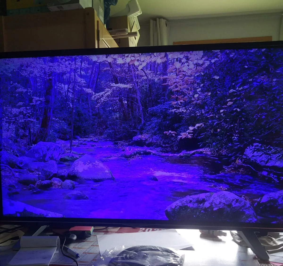 Problème filtre bleu sur l'écran de la TV